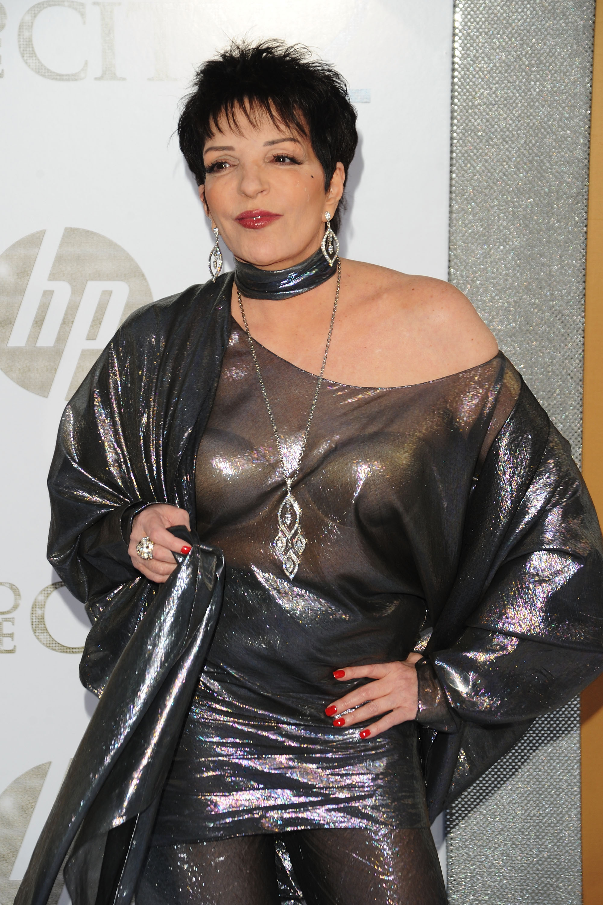 Liza Minnelli attends the premiere of "Sex And The City 2" presented by Mercedes-Benz and Maybach at Radio City Music Hall on May 24, 2010, in New York City. | Source: Getty Images