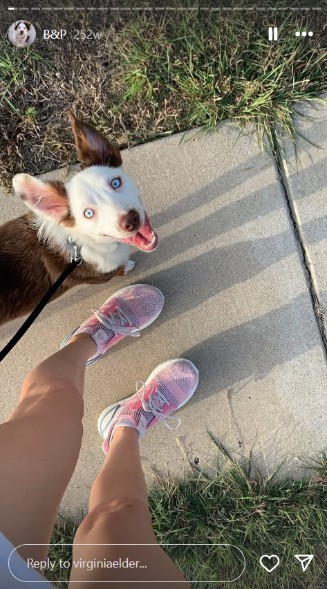 Virginia Elder's dog, Bleau. | Source: Instagram/virginiaelder