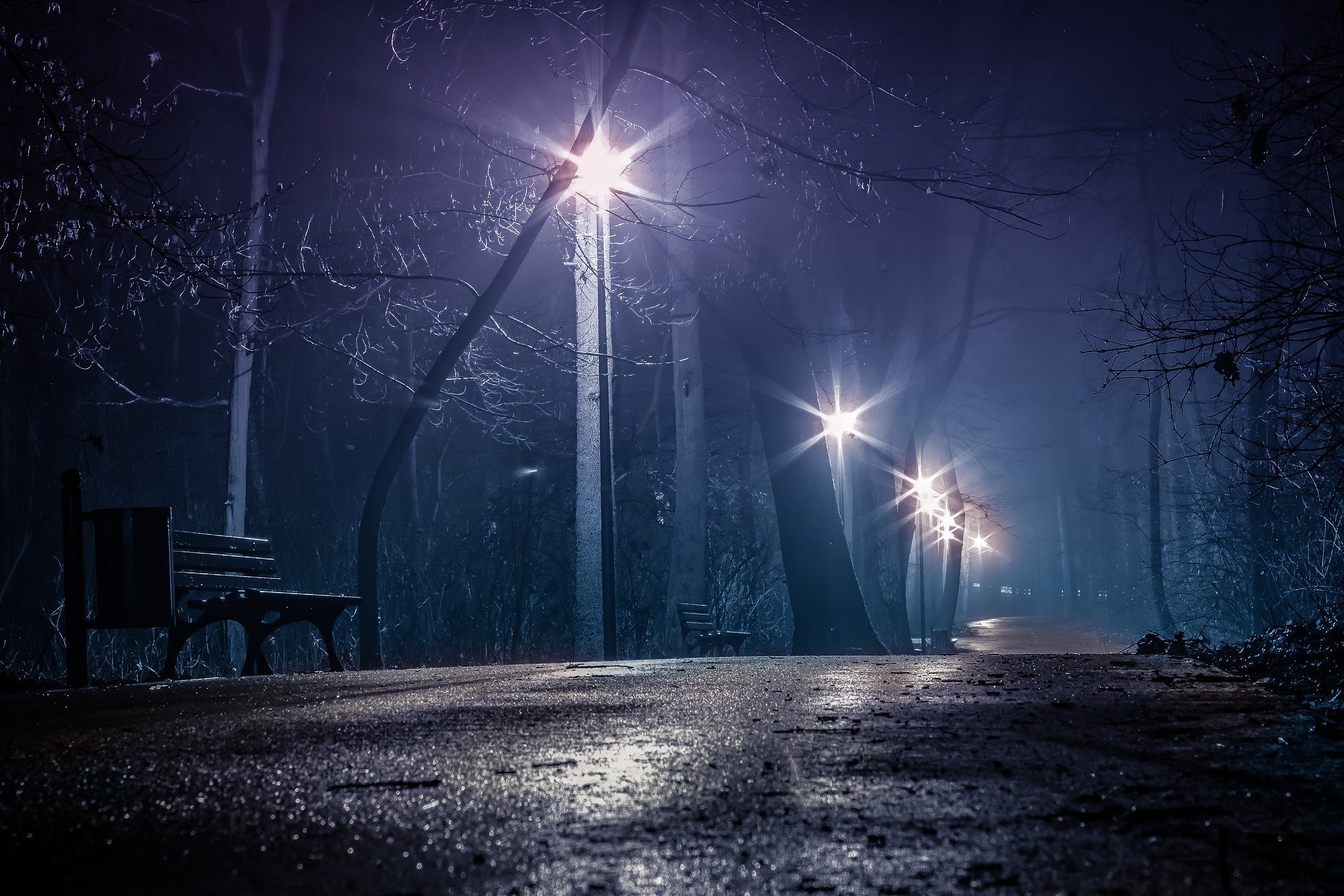 Parque oscuro en la noche. Fuente: Pixabay