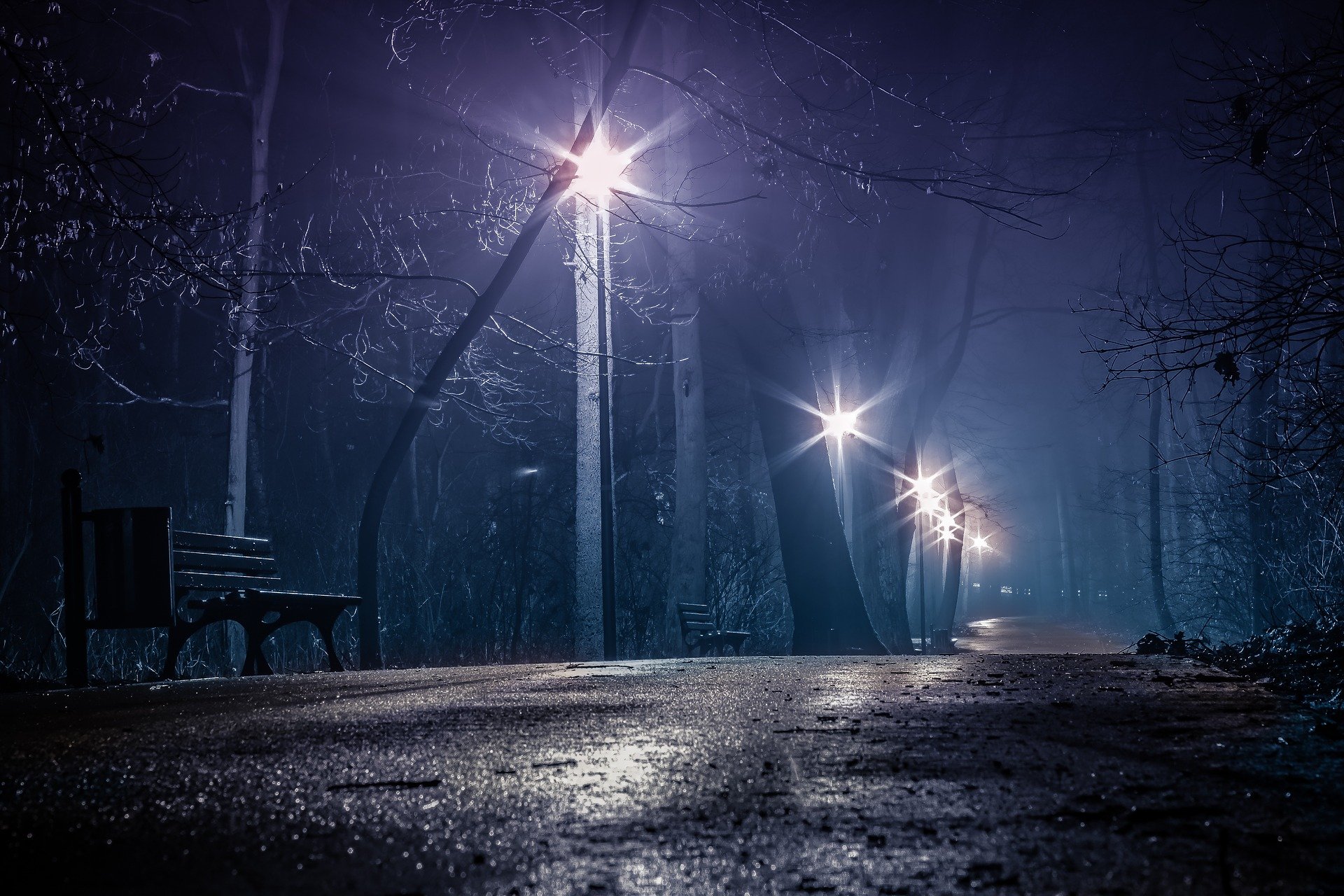 Parque oscuro en la noche. Fuente: Pixabay Parque oscuro en la noche. Fuente: Pixabay
