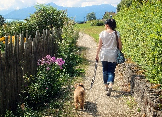 Woman walks a dog along path | Photo: Pixabay