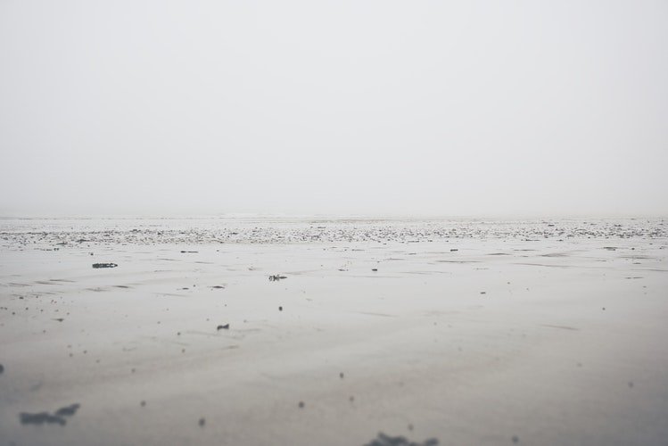Source : Unsplash