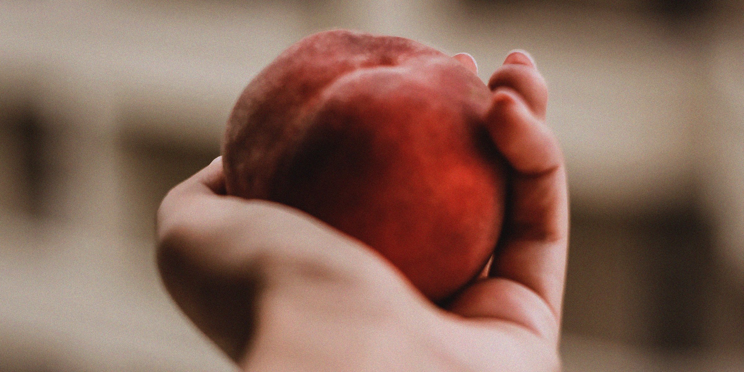 Unsplash | Hand holding a ripe peach