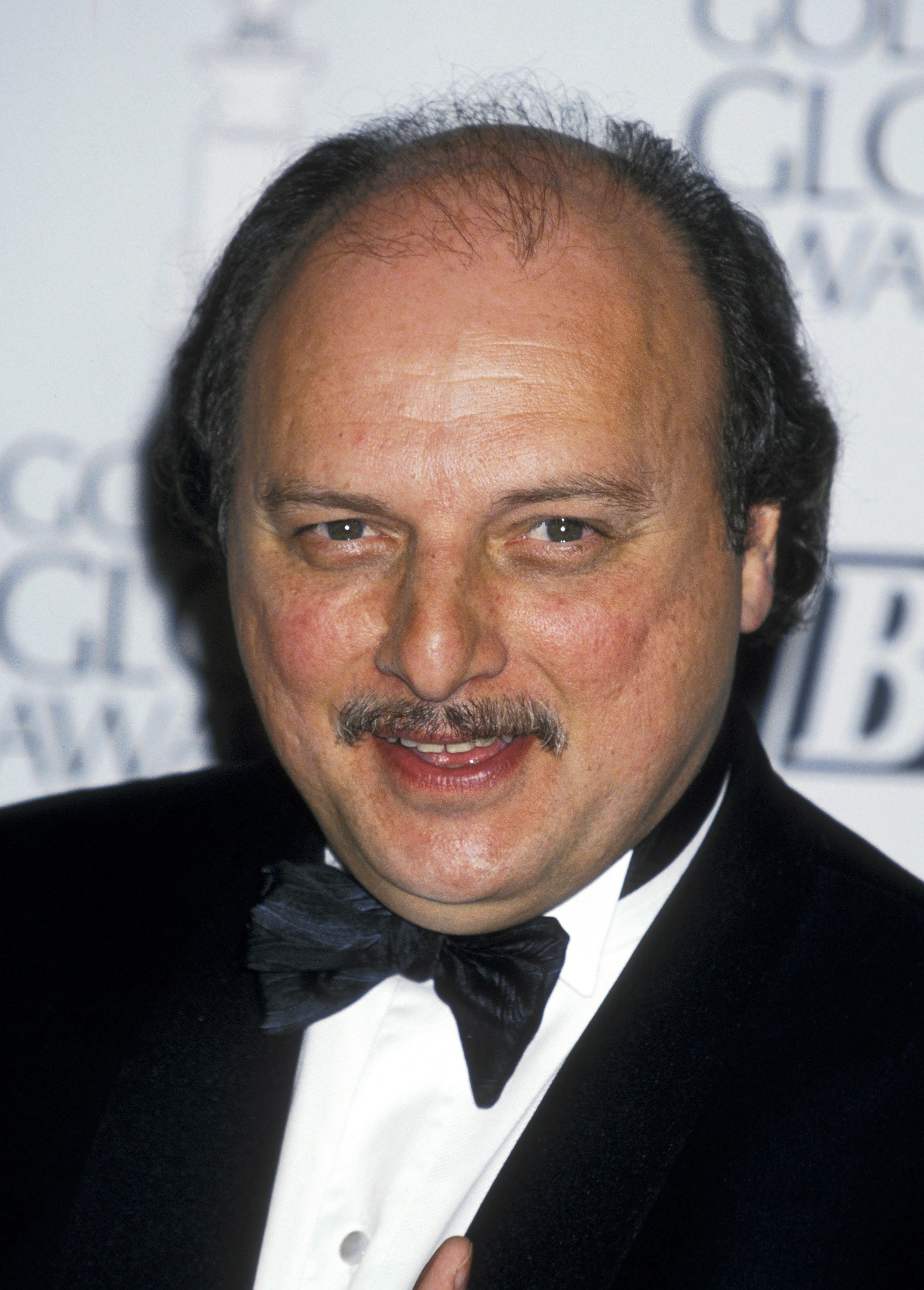 Dennis Franz during The 52nd Annual Golden Globe Awards at Beverly Hilton Hotel in Beverly Hills, California. / Source: Getty Images