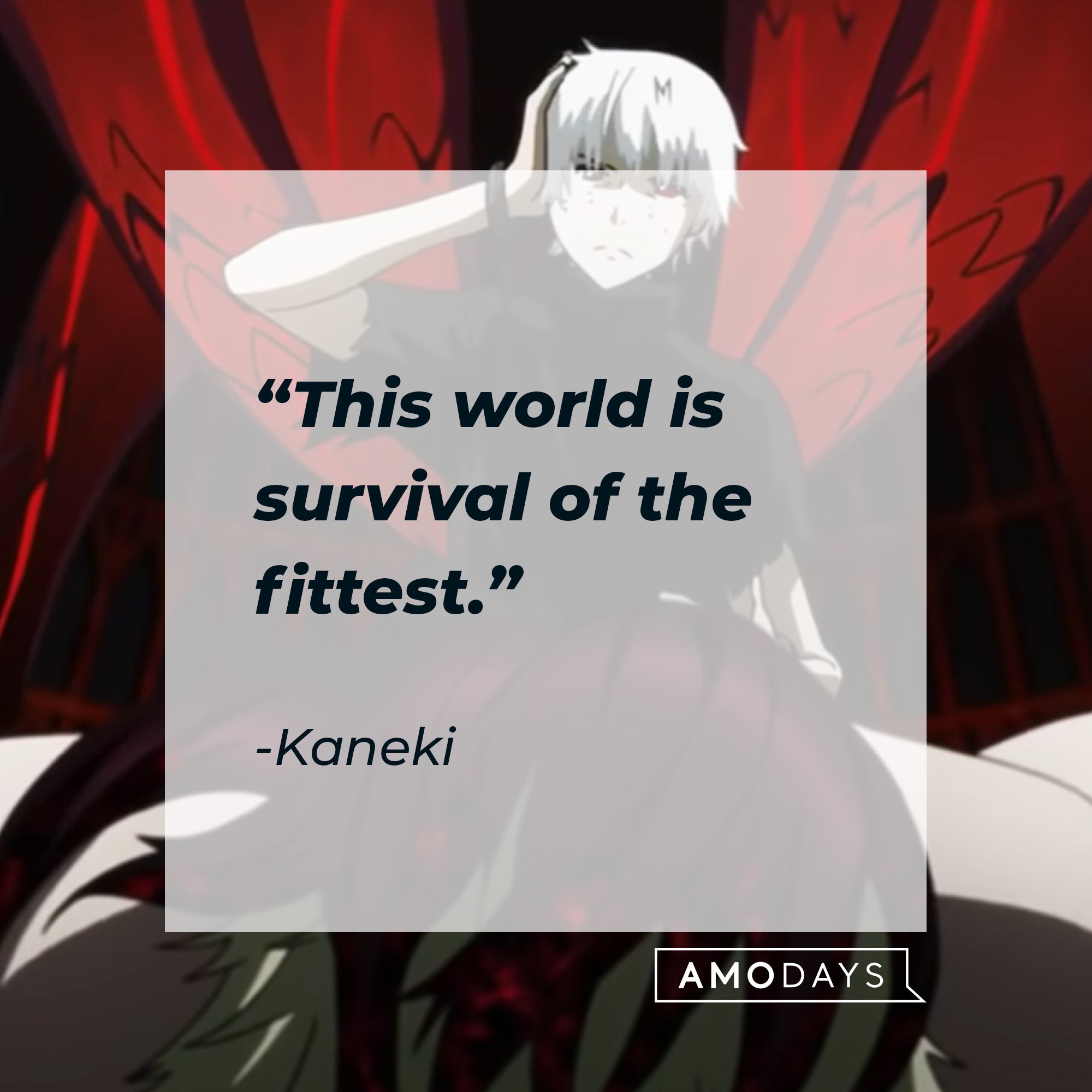 Kaneki's quote: “This world is survival of the fittest.” | Image: AmoDays
