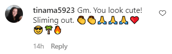 A fan's comment on Tamela Mann's Instagram post | Photo: Instagram / davidandtamela