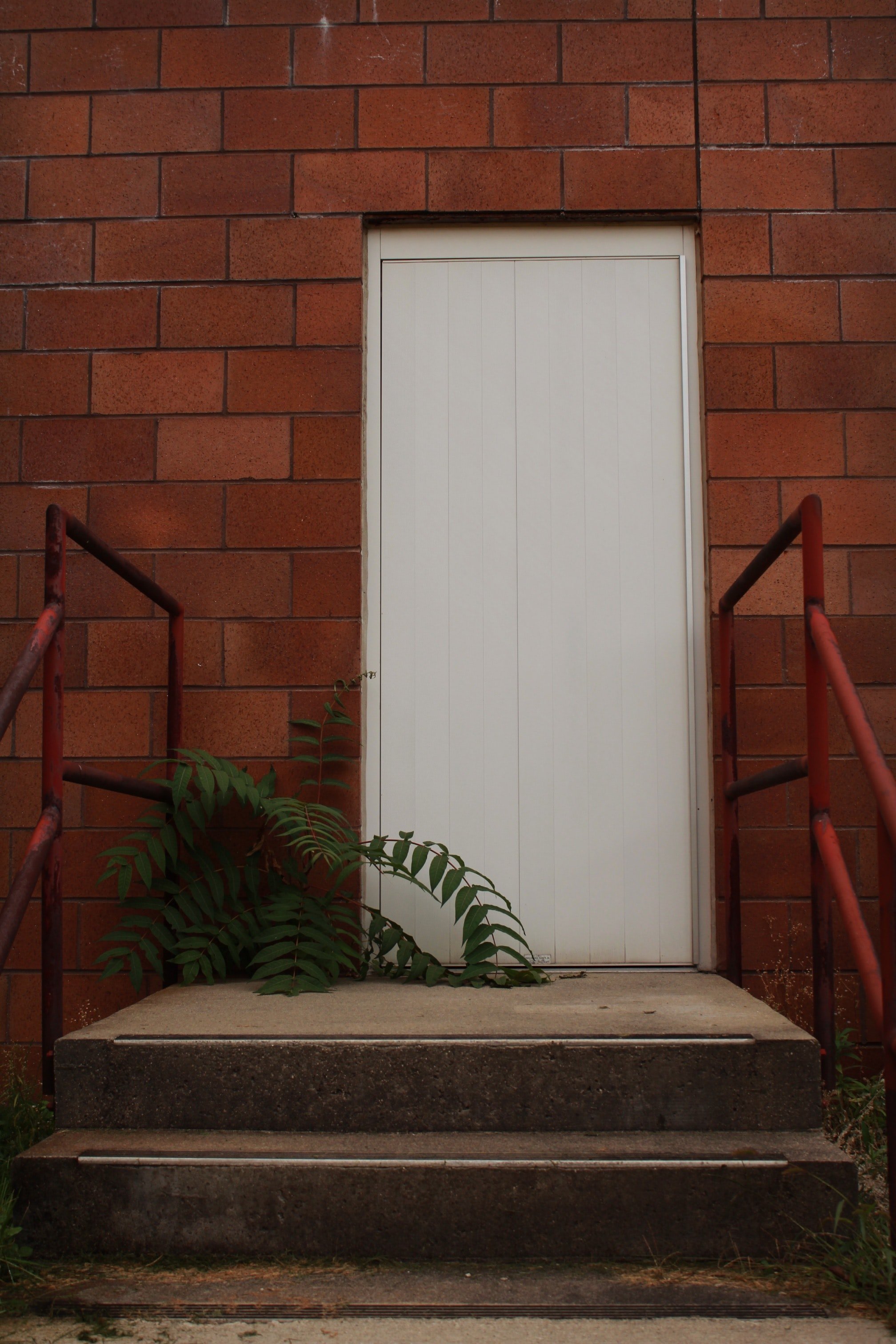 White door and a fern | Source: Unsplash