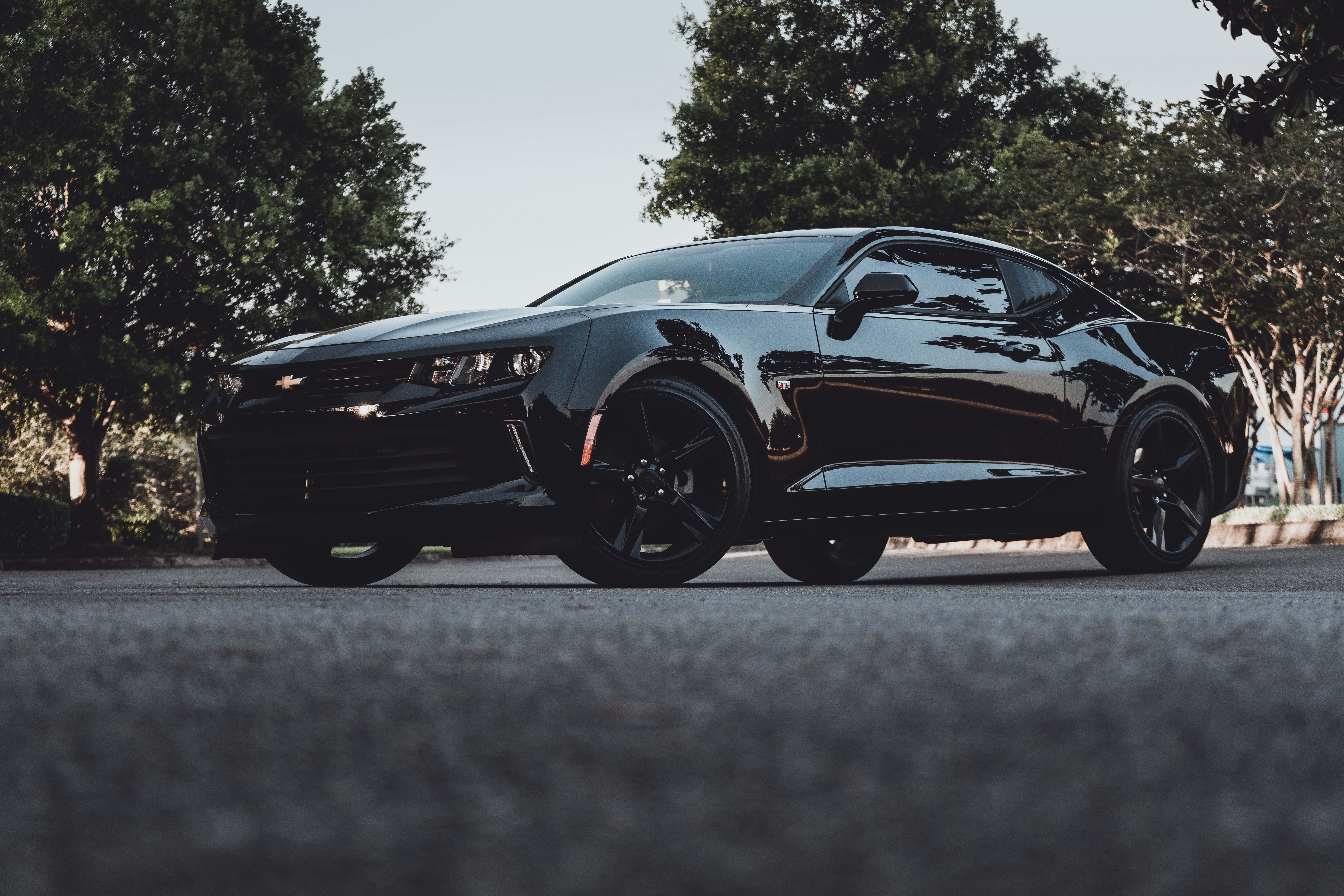The next morning, an expensive black car pulled outside Maria's house. | Source: Unsplash