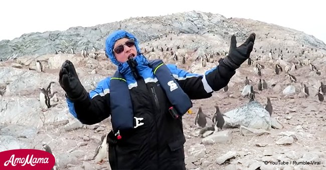 Professional singer starts singing next to penguins and their reaction goes viral