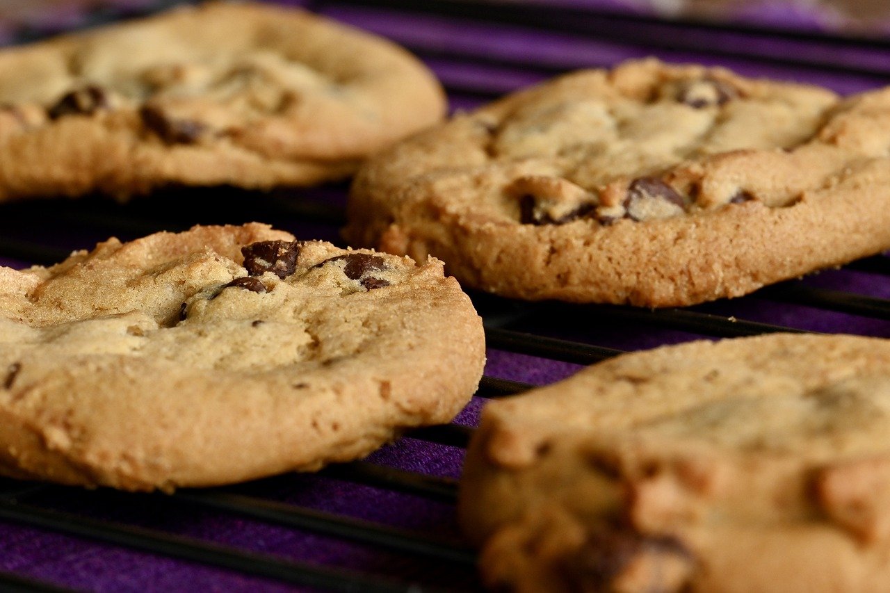 Close-up of choco chip cookies | Source: Pixabay