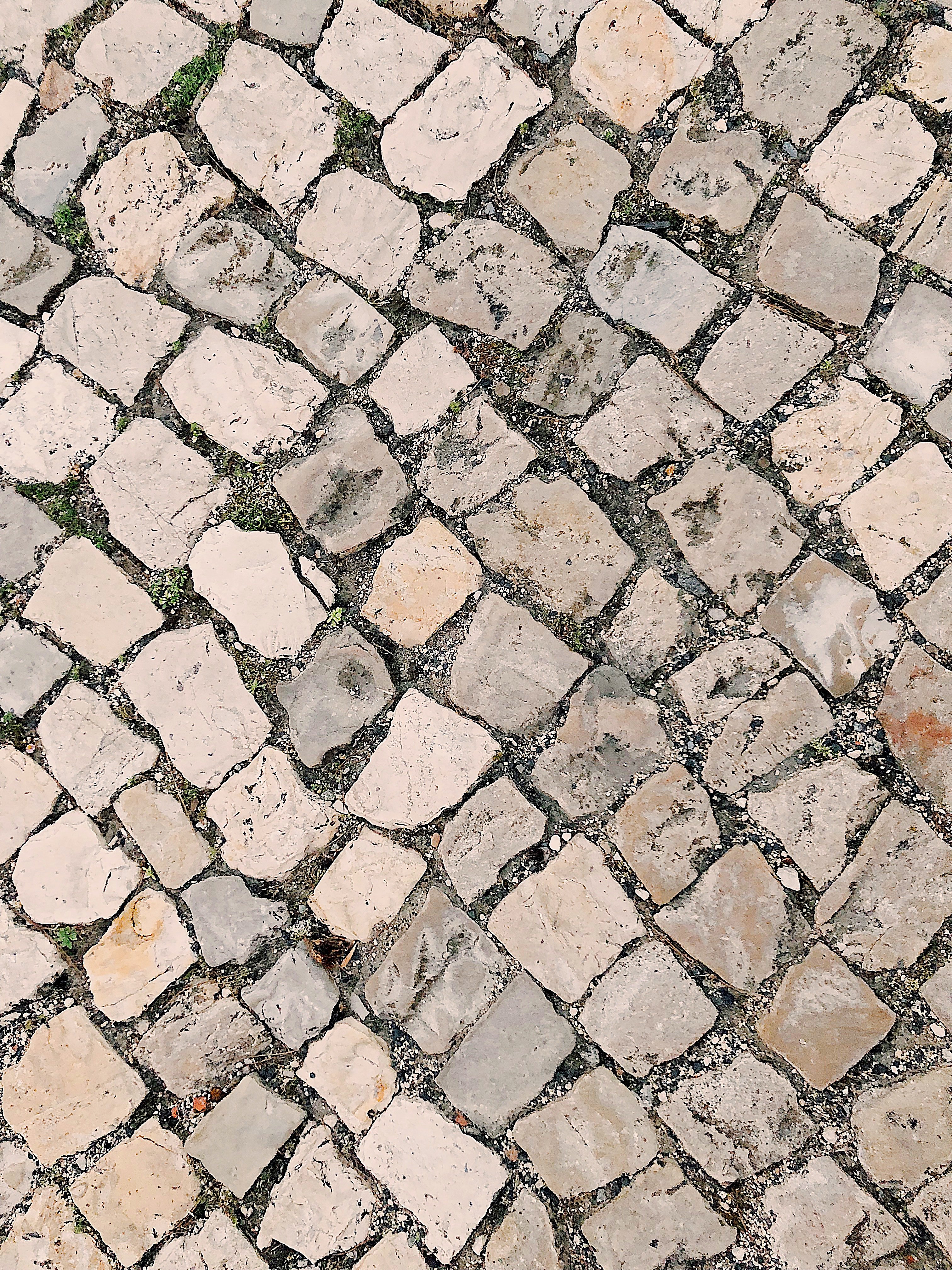 The man started collecting cobblestones outside his house. | Photo: Pexels