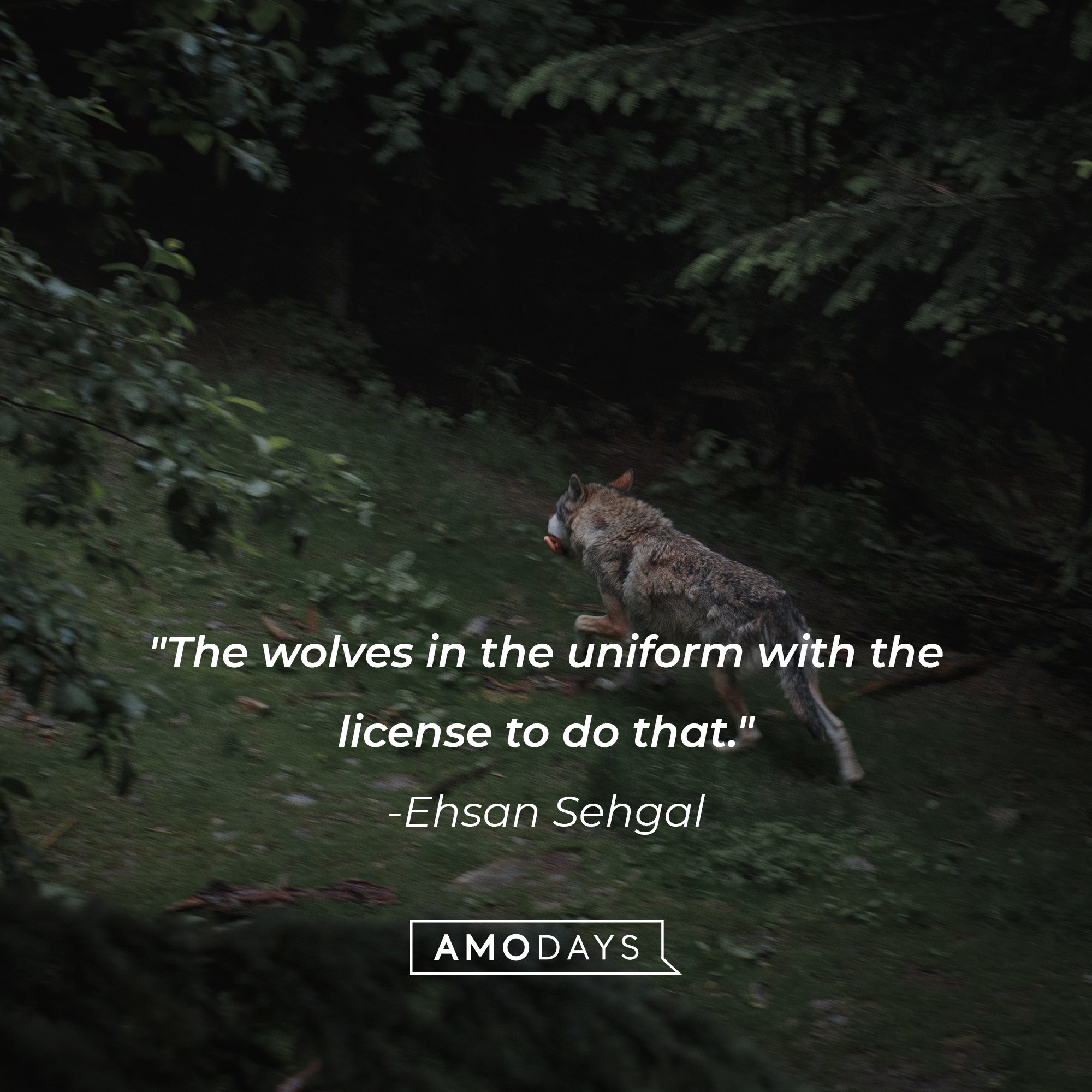  Ehsan Sehgal's quote: "The wolves in the uniform with the license to do that."  | Image: AmoDays