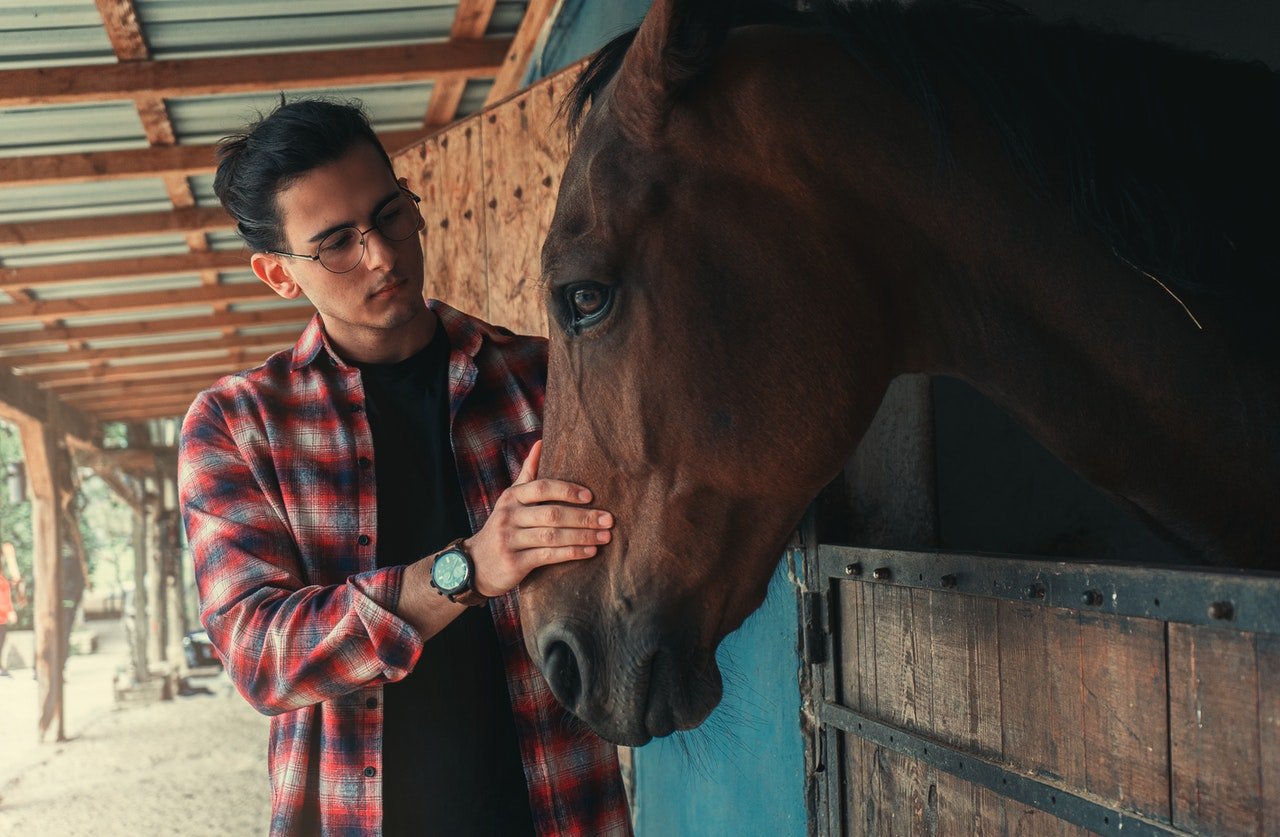 The man bought a fine horse | Photo: Pexels
