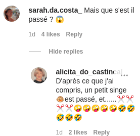 Capture d'écran Commentaire | Photo :instagram.com/laurythilleman/