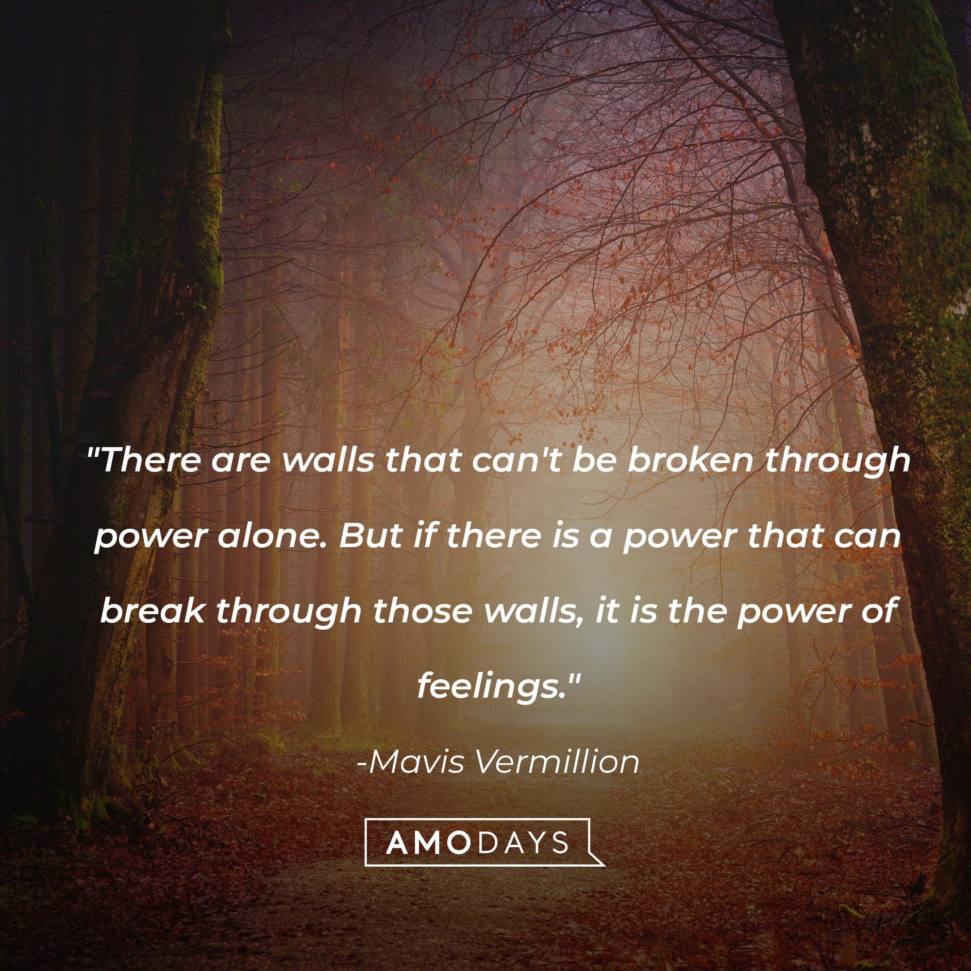 Mavis Vermillion's quote: "There are walls that can't be broken through power alone. But if there is a power that can break through those walls, it is the power of feelings." | Image: Unsplash