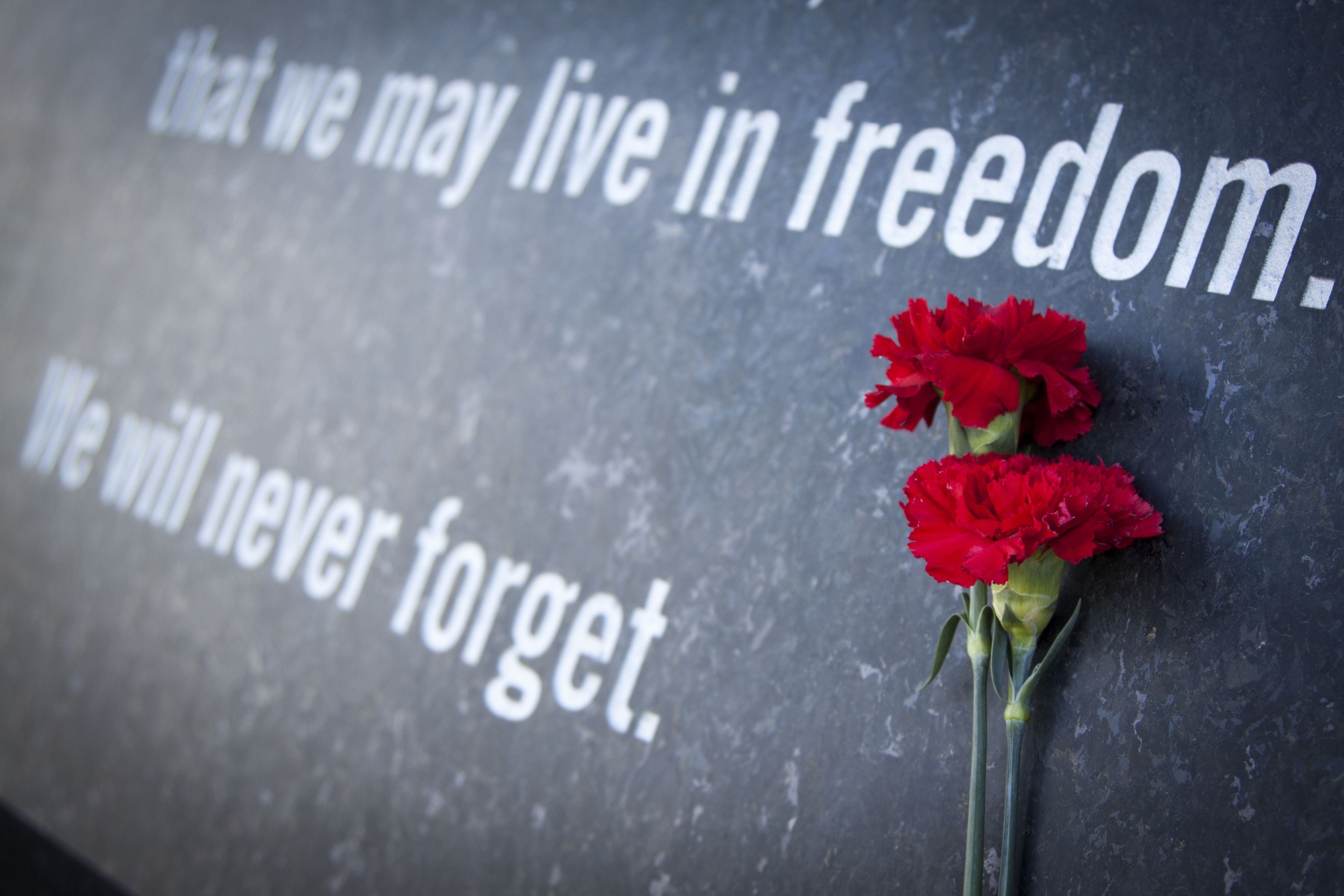 A red carnation on top of a tombstone. | Source: Shutterstock