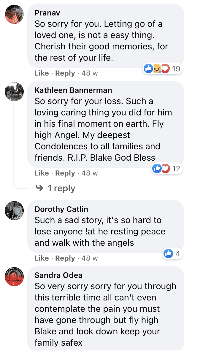 Netizens leave comments on Newsner's post about Blake Ward's death. | Photo: facebook.com/newsnercom