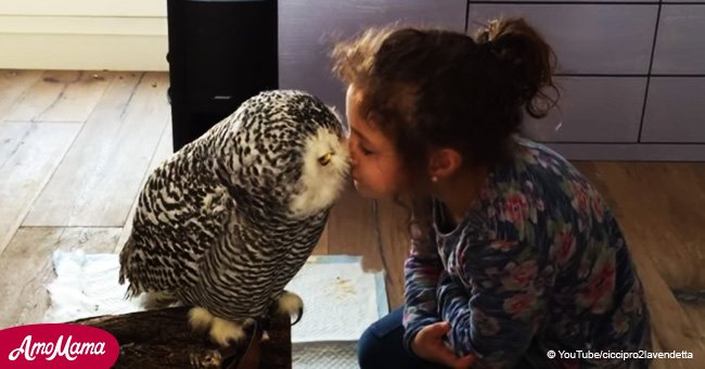 Little girl trades kisses with gigantic owl in sweet video