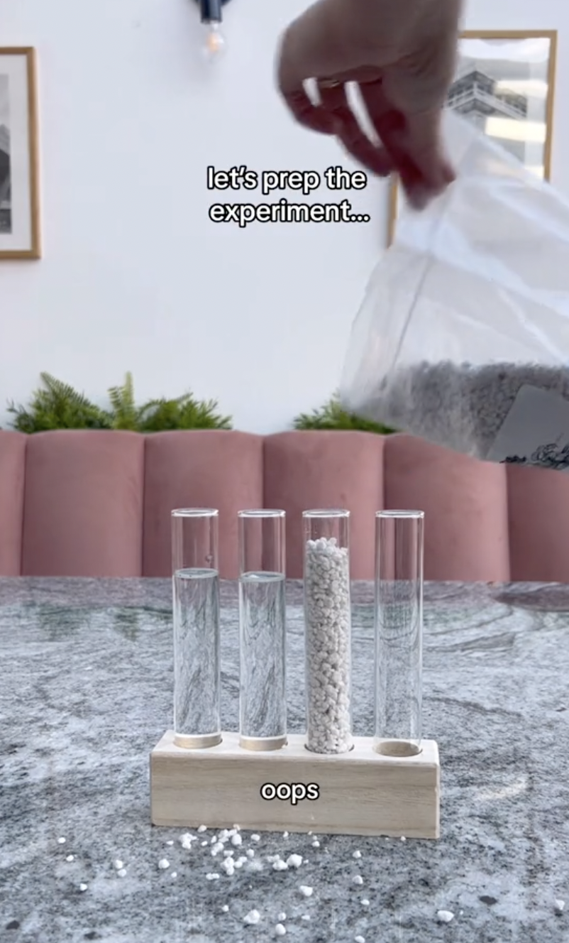 A test tube for the propagating experiment being filled with perlite in a clip uploaded on October 5, 2024 | Source: TikTok/thelittlelifelately