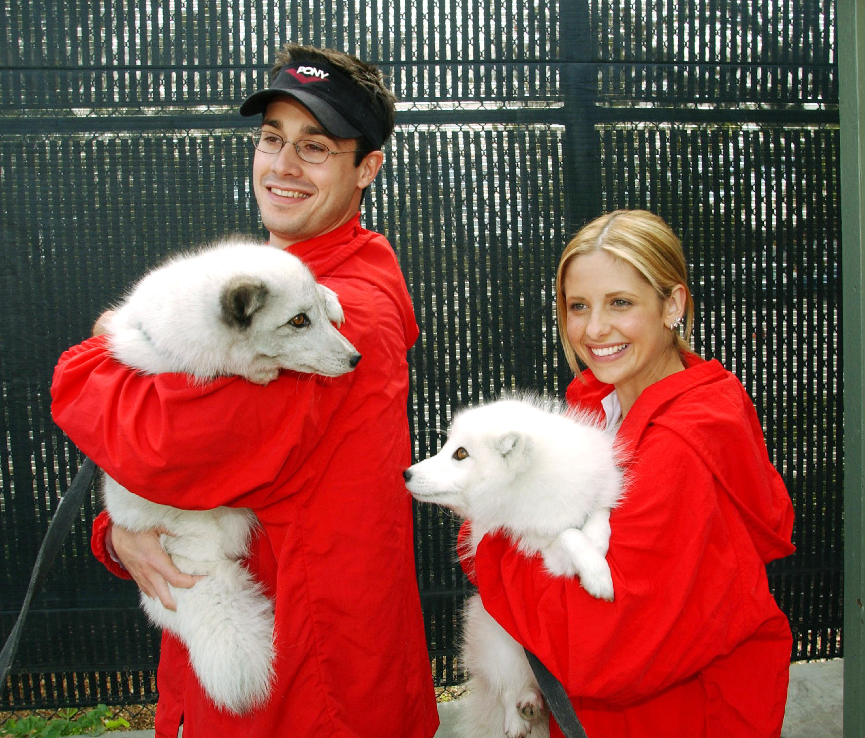 Freddie Prinze Jr. and Sarah Michelle Gellar pictured holding dogs on January 19, 2002, in San Diego, California. | Source: Getty Images