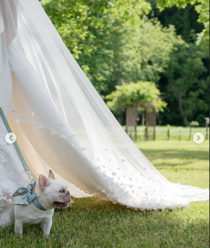 Lainey Wilson's wedding gown train | Source: Instagram/laineywilson