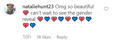 Commentaire d'un fan sur le post de Hilaria Baldwin. | Source: instagram.com/hilariabaldwin Commentaire d'un fan sur le post de Hilaria Baldwin. | Source: instagram.com/hilariabaldwin