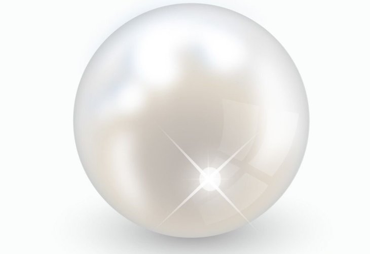Imagen tomada de: Shutterstock
