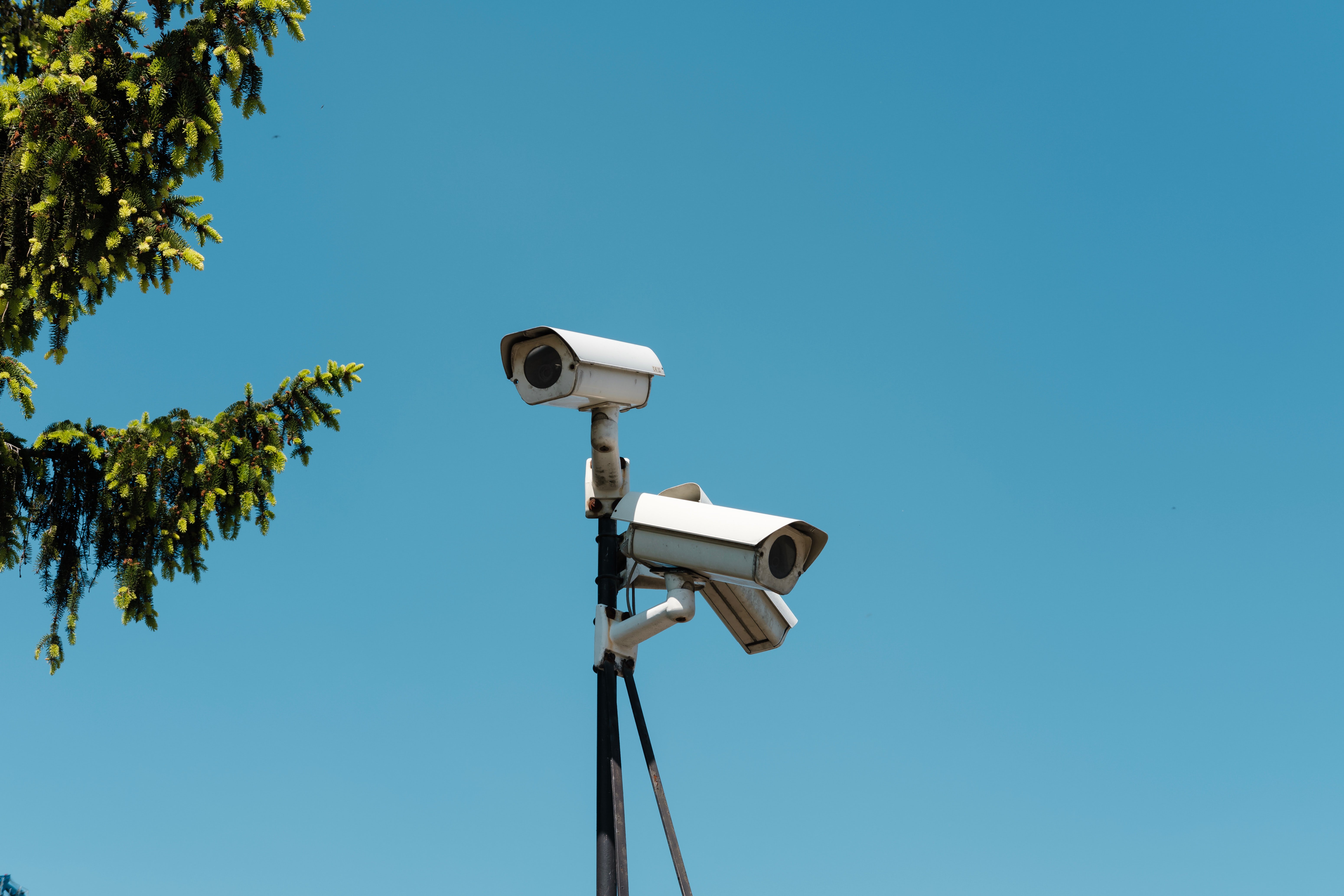 Dolores installed security cameras all around her house | Photo: Unsplash