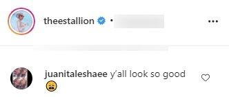 A fan's comment on Megan Thee Stallion's post on her Instagram page | Photo: instagram.com/theestallion