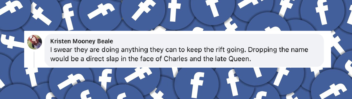 A fan comments on Prince Harry's name change suggestion, dated June 2025 | Source: Facebook/People