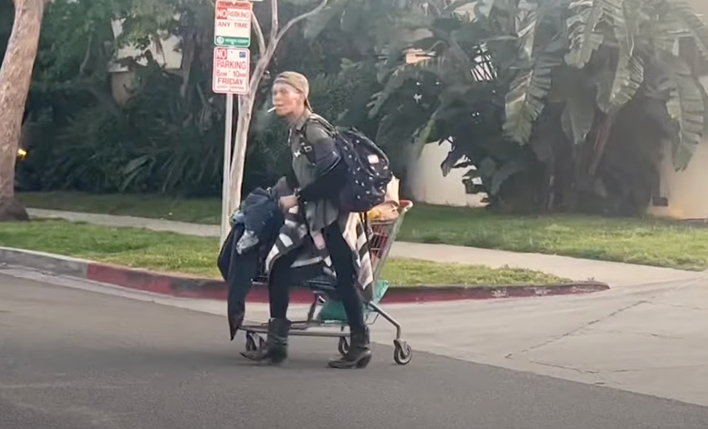 Loni Willison walks on the streets with her belongings in a trolley | Source: youtube.com/X17onlineVideo