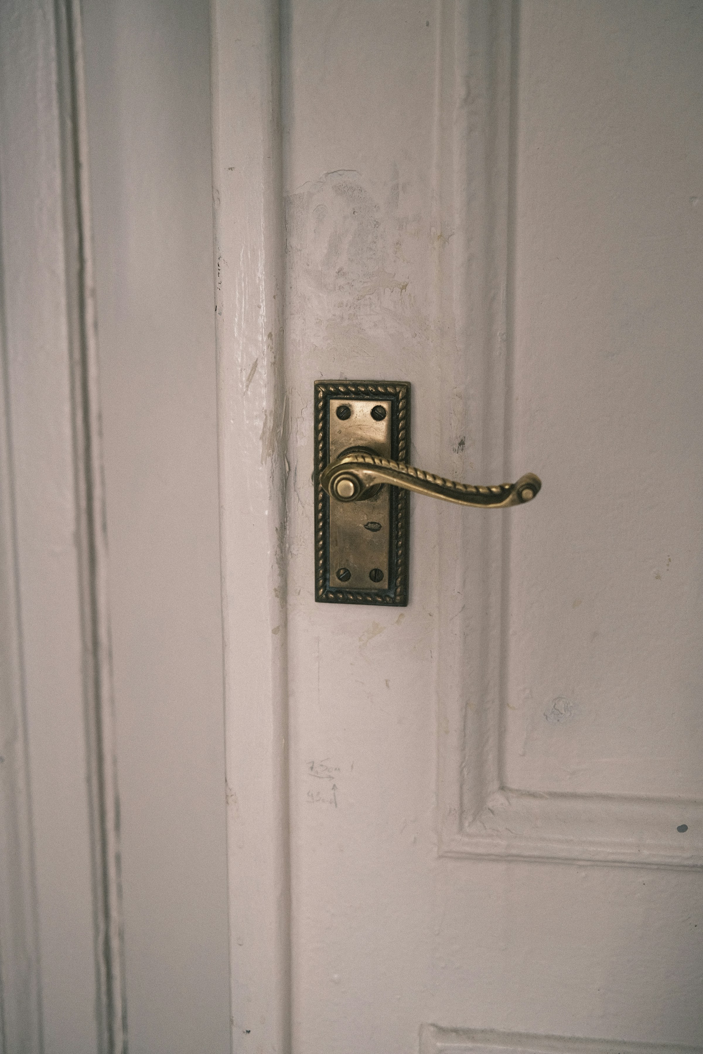 A white door with a brass handle | Source: Unsplash