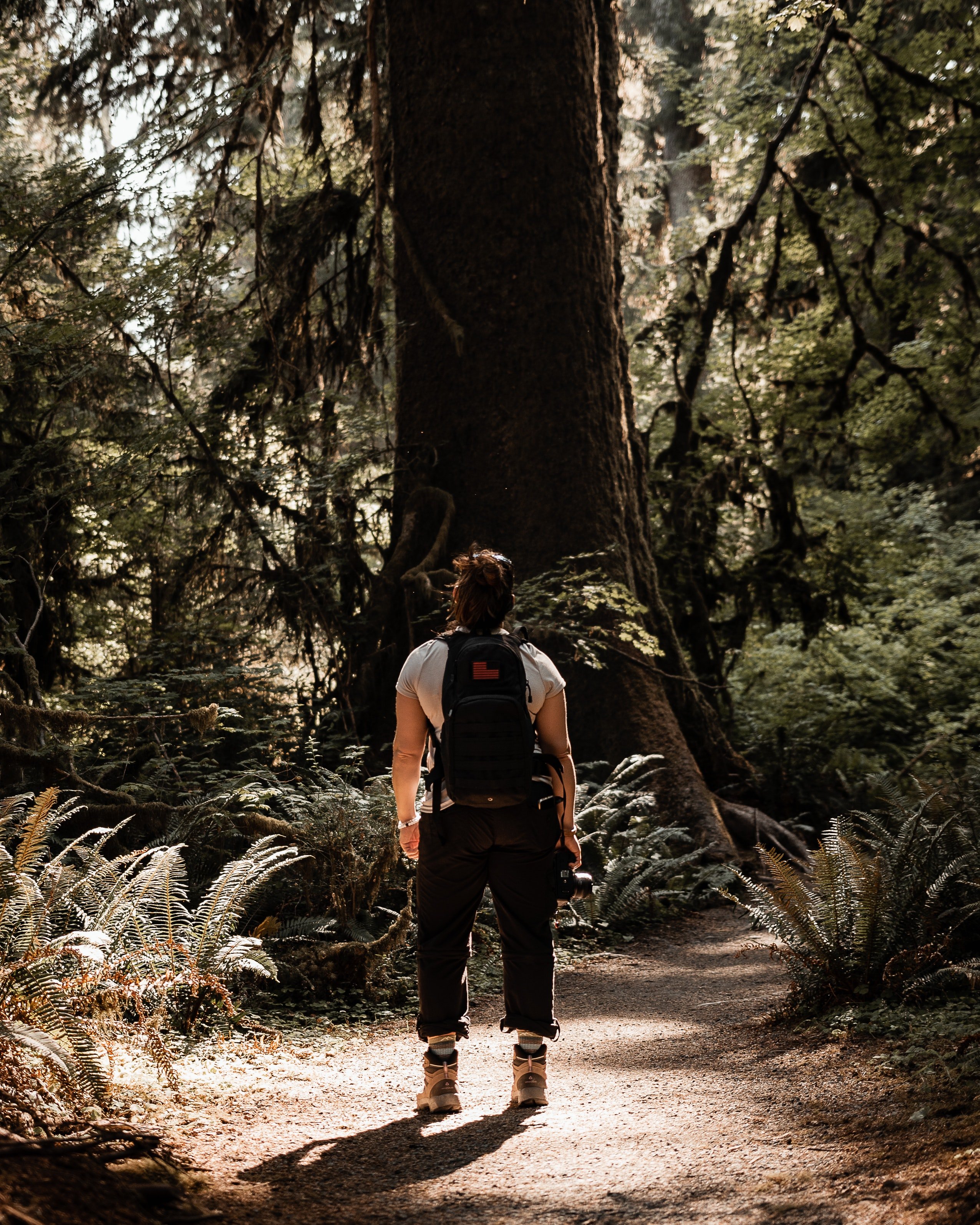 A woman with a backpack in the forest. | Pexels/ Messina Photo