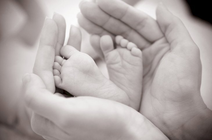 Imagen tomada de Shutterstock
