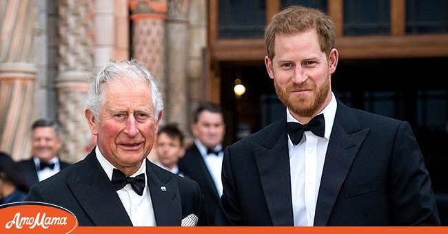 Prince Charles, Prince of Wales and Prince Harry, Duke of Sussex attend the "Our Planet" global premiere at Natural History Museum on April 04, 2019 in London, England. | Photo: Getty Images