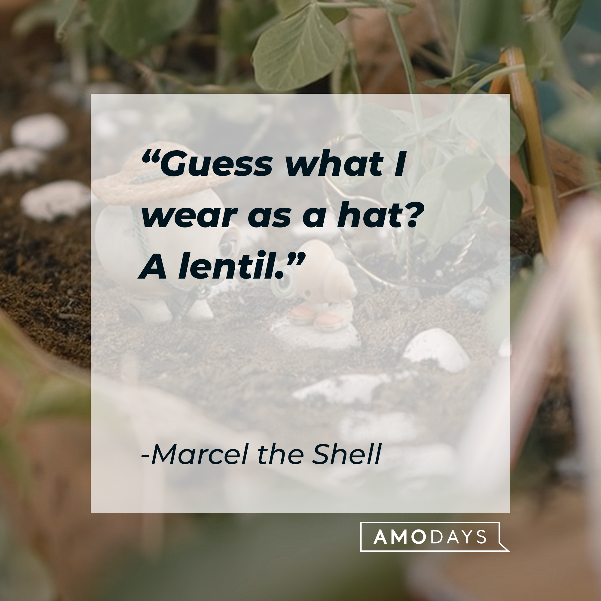 Marcel the Shell's quote: "Guess what I wear as a hat? A lentil." | Source: youtube.com/A24