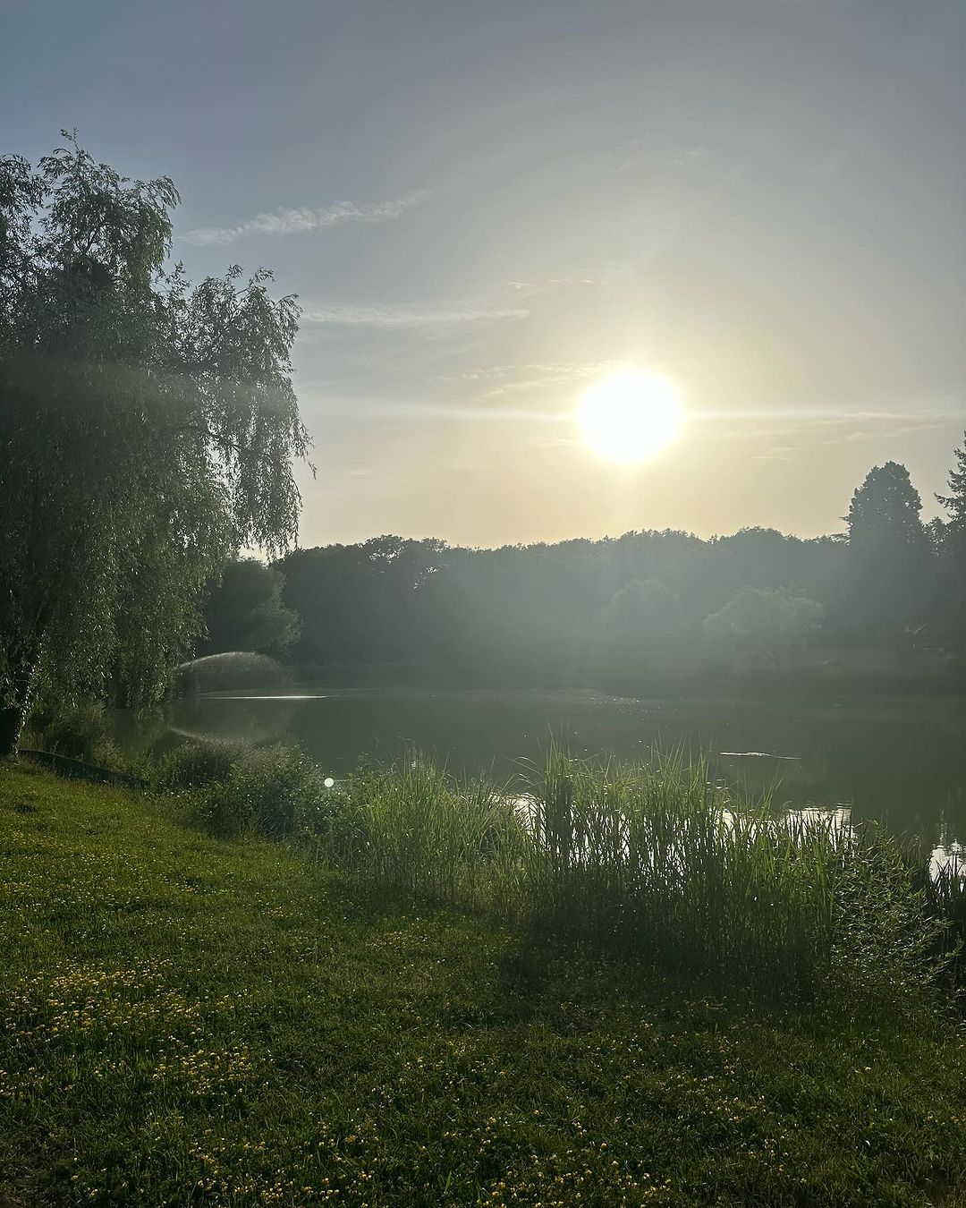 Inside the property of Alain Delon, La Brulerie, in Douchy, central France, from an Instagram post, dated August 1, 2024. | Source: Instagram/anouchkadelon/