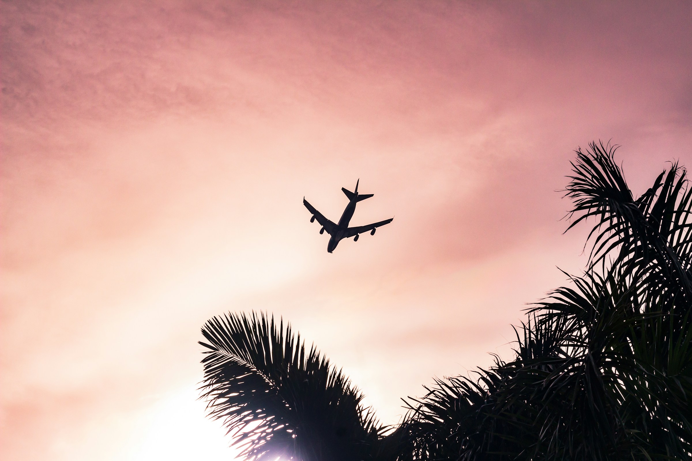 An airplane | Source: Unsplash