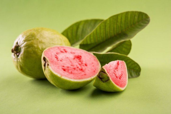 Imagen tomada de: Shutterstock Imagen tomada de: Shutterstock