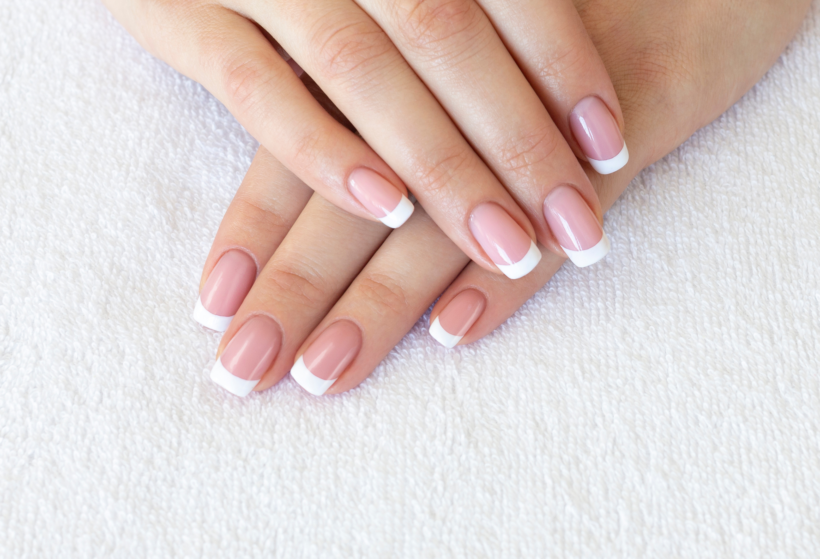 Standard French manicure with transparent nail polish on female hands | Source: Shutterstock
