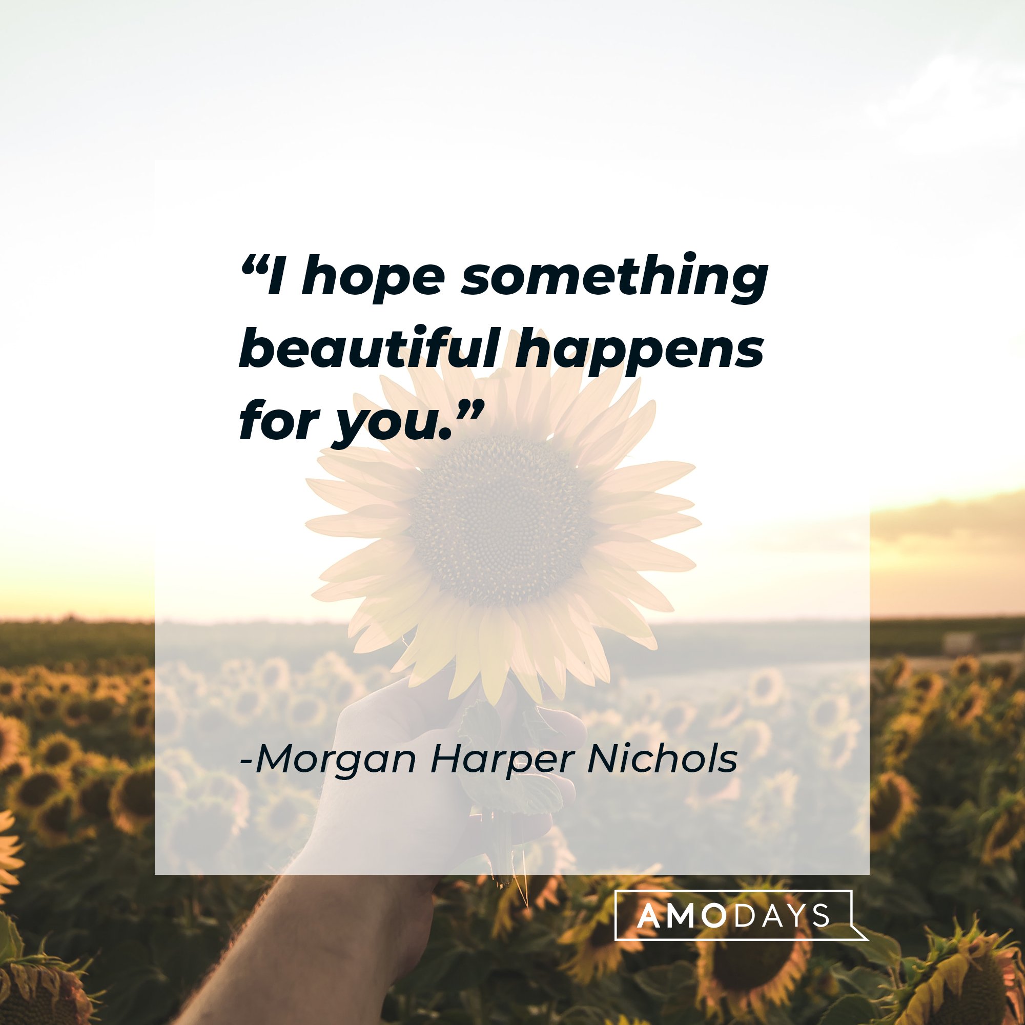 Morgan Harper Nichols’ quote: "I hope something beautiful happens for you."  | Image: AmoDays