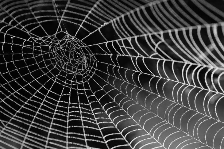 Imagen tomada de: Pexels