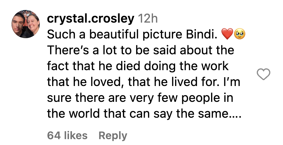 A fan's comment on Bindi Irwin's Instagram post | Source: Instagram.com/bindisueirwin