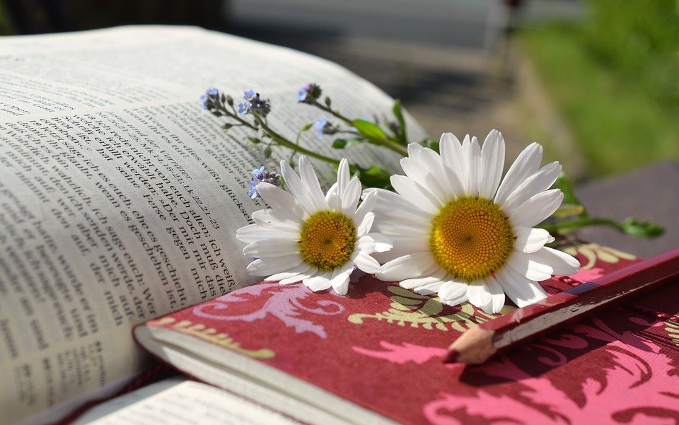 La Bible. Photo : Pixabay La Bible. Photo : Pixabay