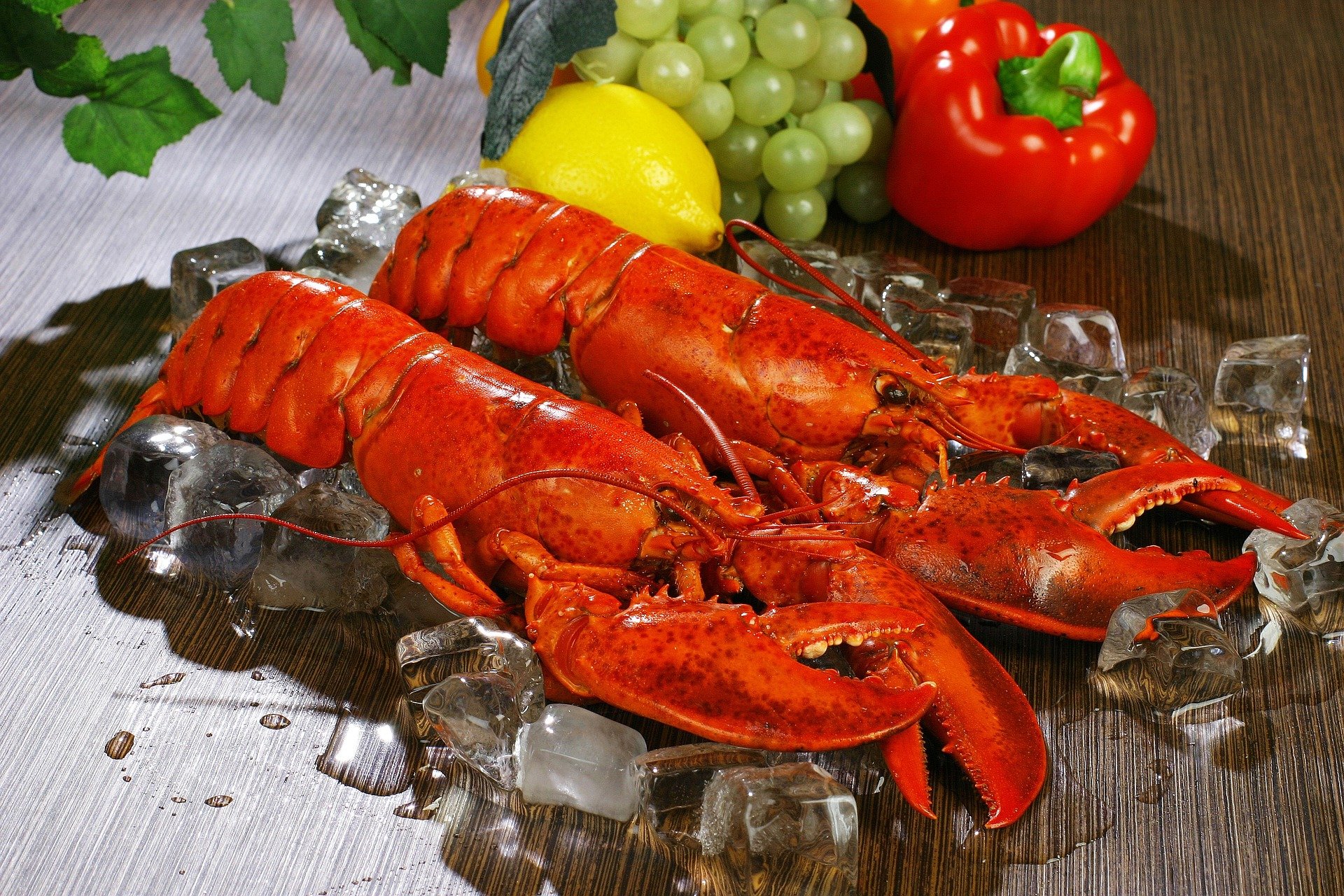 Do you enjoy a lobster dinner? | Photo: Pixabay/ ksbaeg