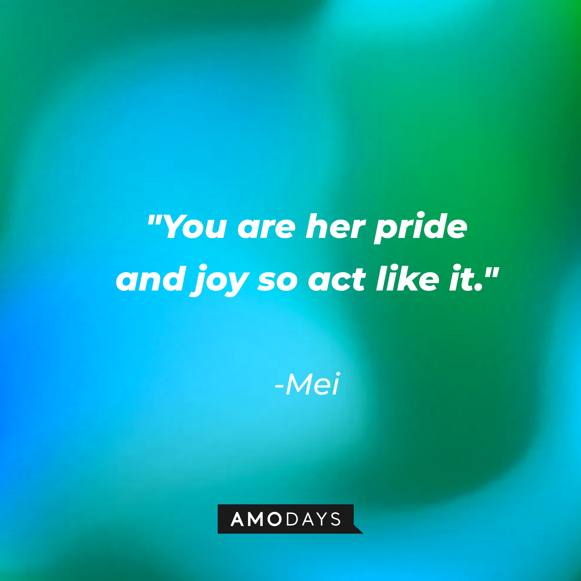 Mei's quote: "You are her pride and joy so act like it." | Source: AmoDays
