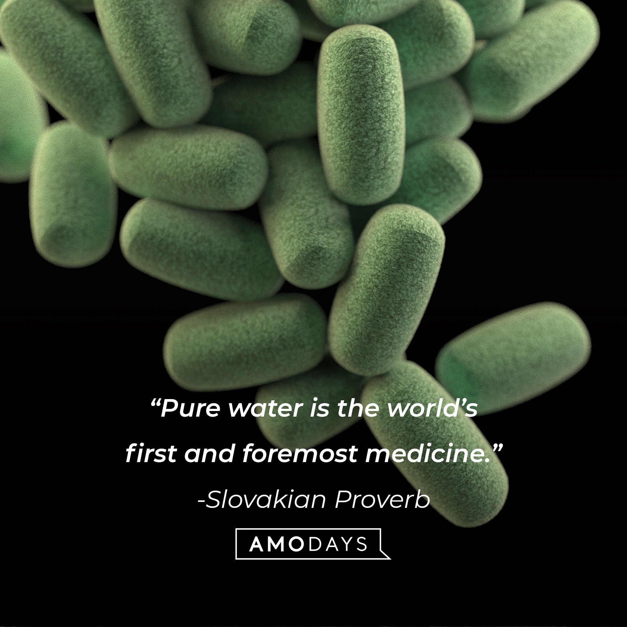 A Slovakian Proverb: “Pure water is the world’s first and foremost medicine.” | Image: AmoDays
