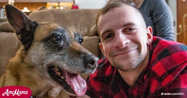 Heartfelt Story: Army Veteran Reunited with a Bomb-Sniffing Dog He Served with in Afghanistan