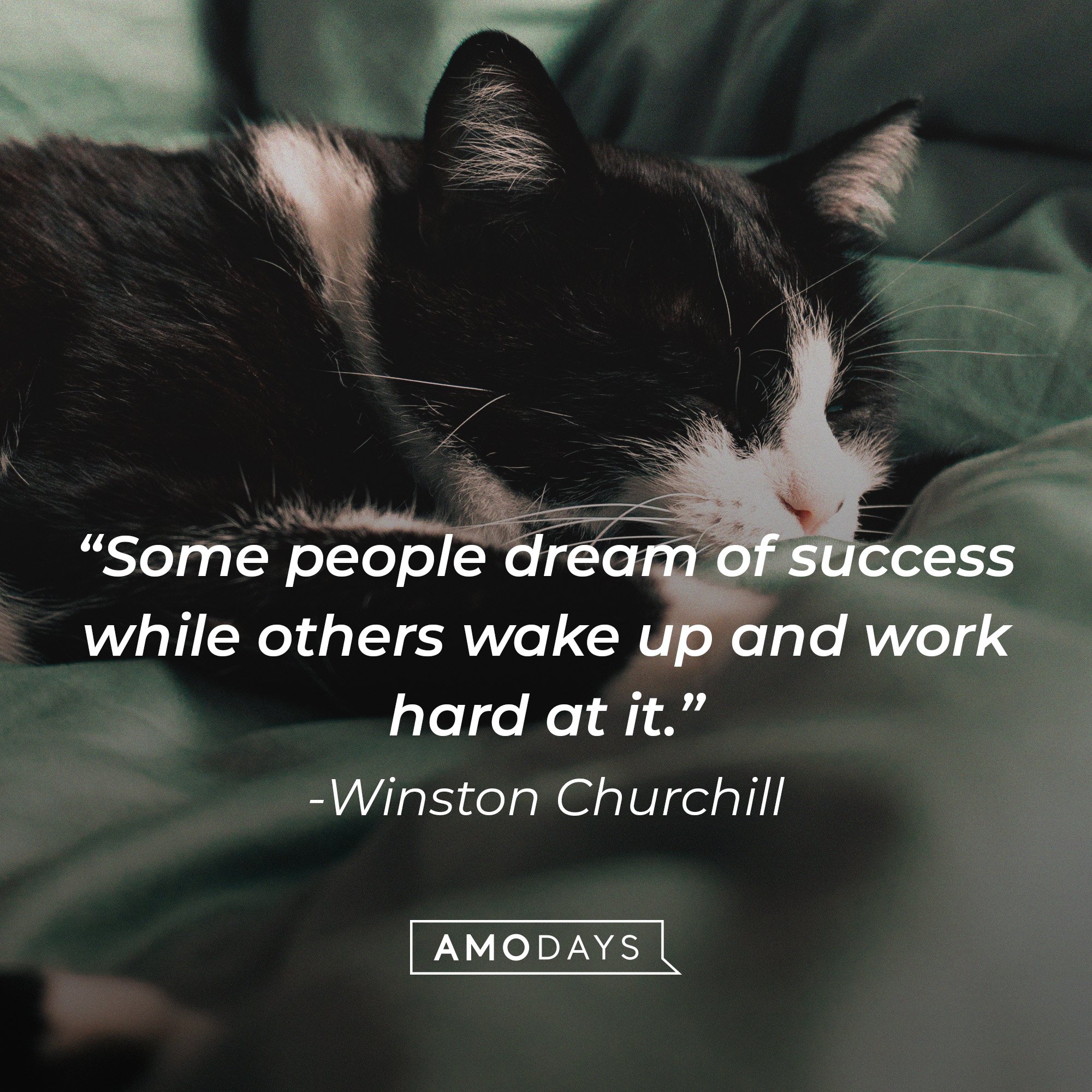 Winston Churchill's quote: “Some people dream of success while others wake up and work hard at it.” | Image: AmoDays 