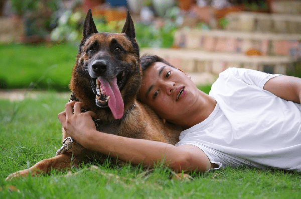 Joven acostado con un perro. | Foto: Pixabay